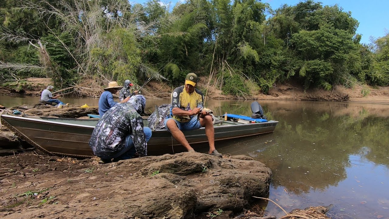 PESCAR TRATAR E COMER UM PEIXE NA BEIRA DO RIO MIRANDA (#pescaria #riomiranda, culinária de pesca)
