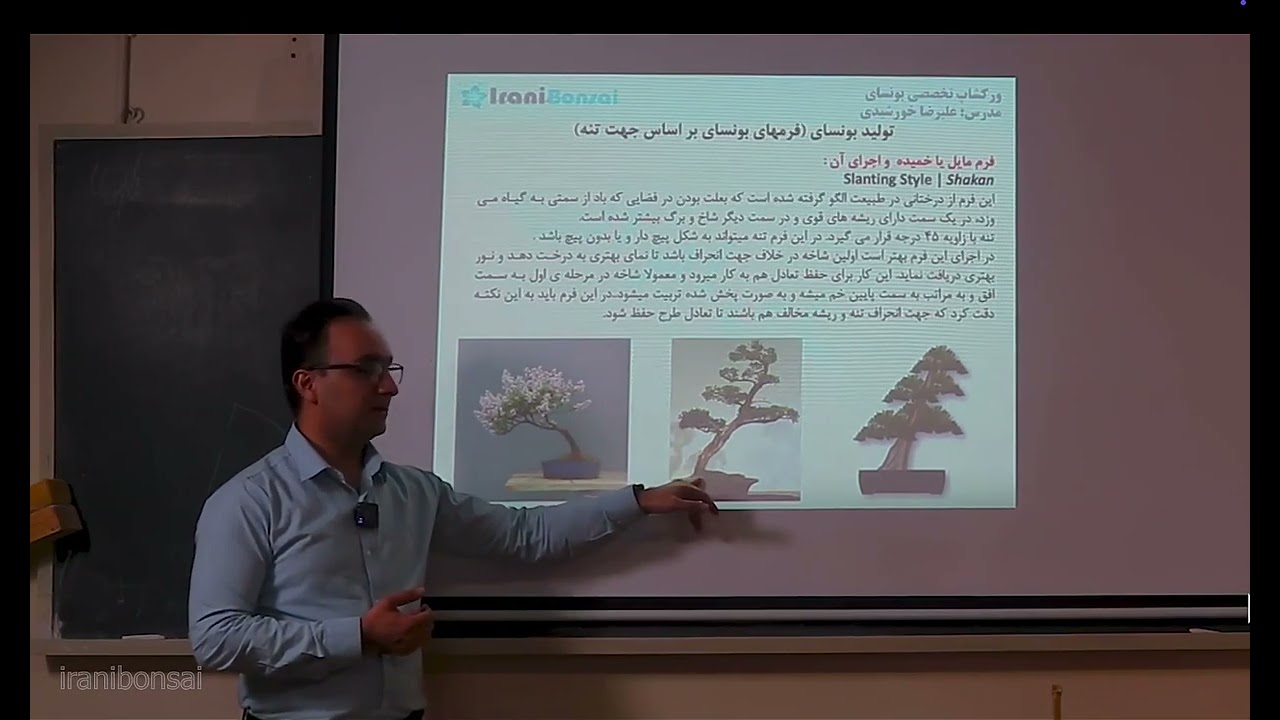 جلسه هجدهم: آموزش فرم‌های بونسای | از سبک مایل تا عمودی و آبشاری