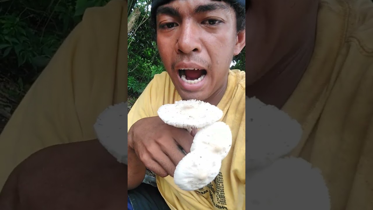 kumain ng kabute na nakakalason #kapusomo #Deadlymushroom  #mushroom #deadlypoison #poisonmushroom