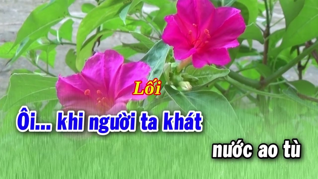 karaoke luu binh duong le, xang xe,123 Tuanpro