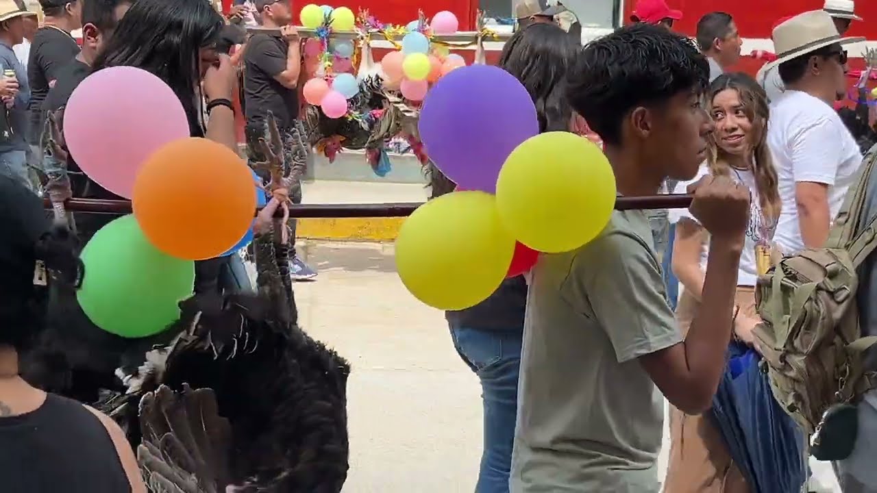 Paseo de Guajolotes  en Santiago Juxtlahuaca Oaxaca 2025