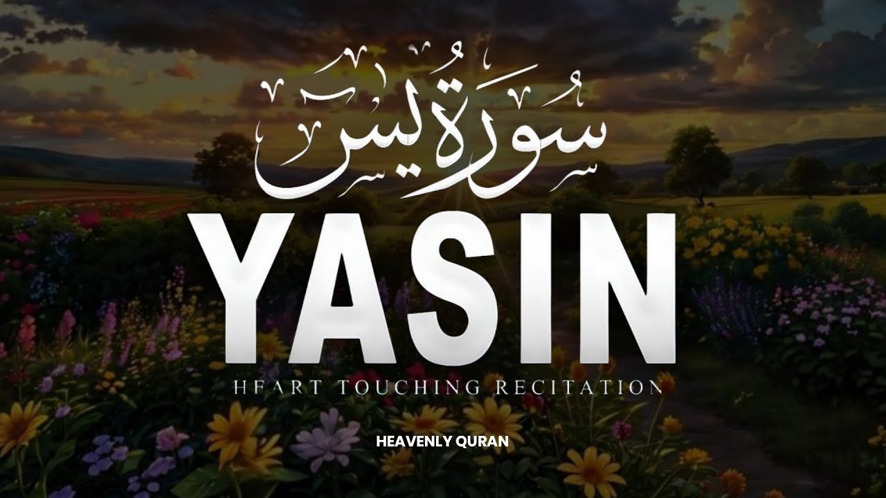 Surah Yaseen (سورة يس) | Calming Quran Recitation for Inner Peace & Sleep | Alaa Aqel #surahyaseen
