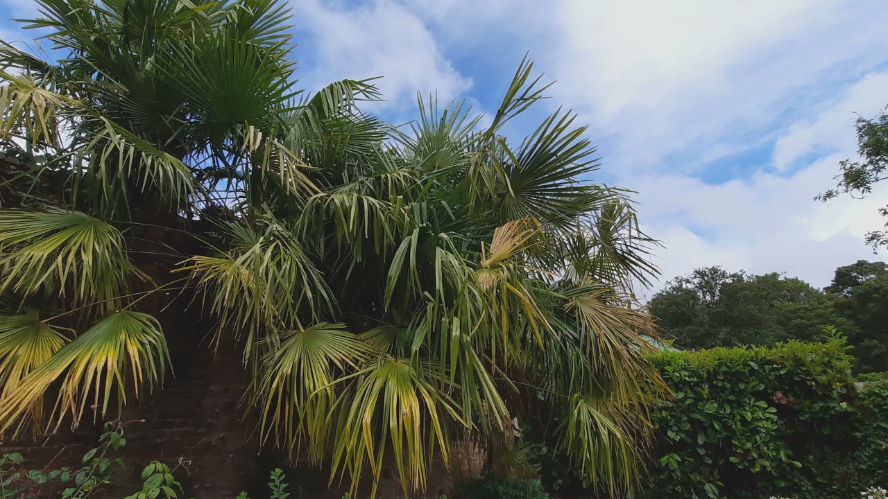 Marks Hall Gardens and Arboretum