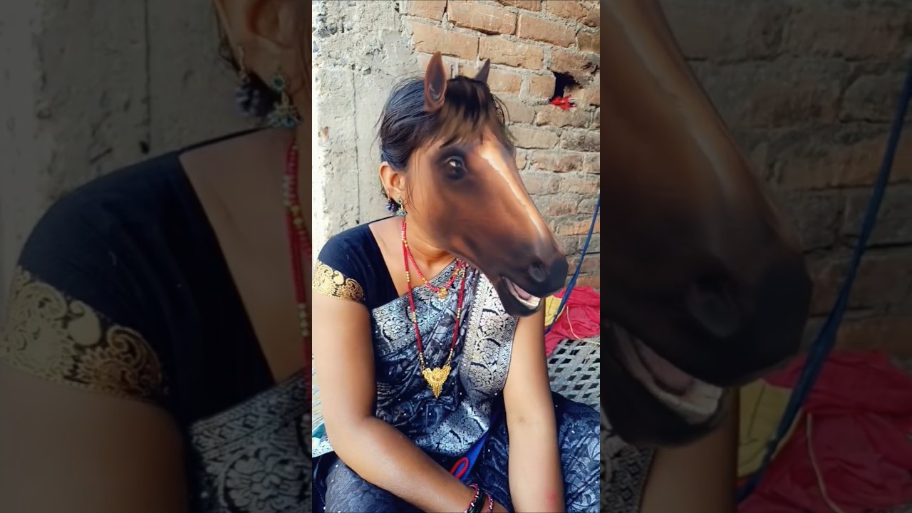 😆Funny Horse Fece Video🐴 