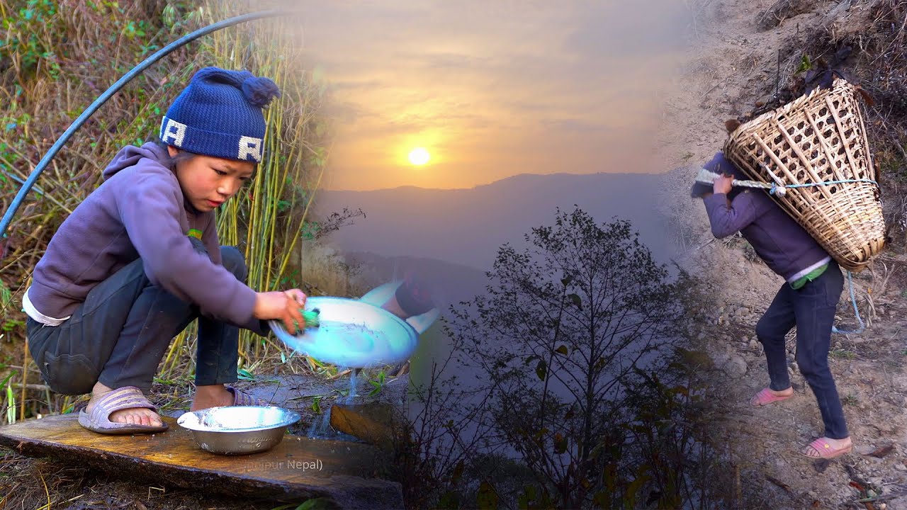 A Family in the Jungle || Video - 5 ||