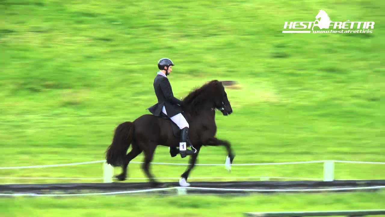 Íslandsmót 2014 Tölt