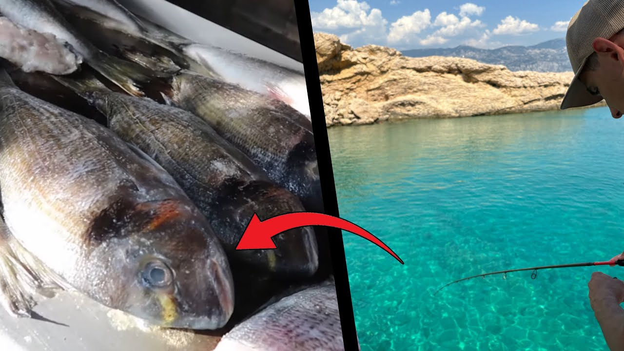 Angeln in Kroatien. Was kann ich hier vom Partyboot aus fangen?🤔 + Catch and Cook.
