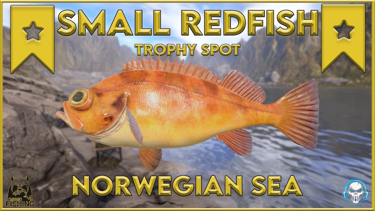 SMALL REDFISH TROPHY SPOT! NORWEGIAN SEA - Russian Fishing 4 #rf4