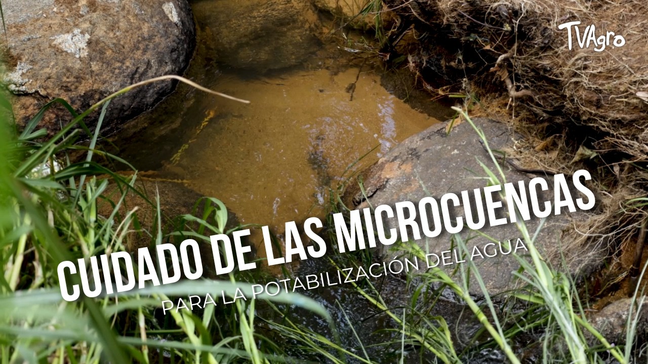 Cuidado de las microcuencas para la potabilización del agua - TvAgro por Juan Gonzalo Angel