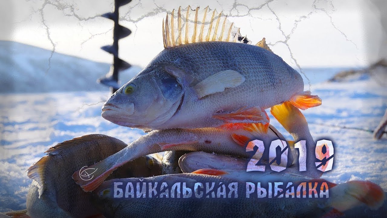 САМАЯ МАССОВАЯ ПОДЛЕДНАЯ РЫБАЛКА В РОССИИ! #Байкальскаярыбалка2019 [Рыбалка в Сибири]