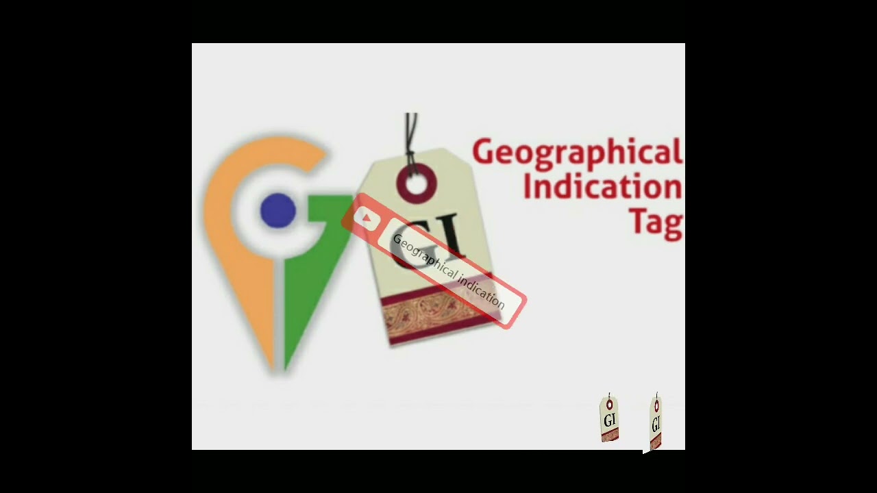 WHAT IS GI TAGS?👍🏻🤔#business#commerce#viral#shorts#trendingshorts#facts#knowledge