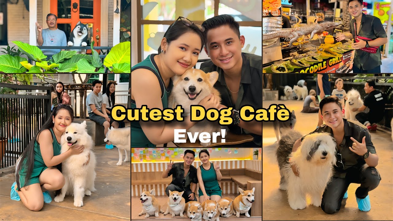 Dog Cafe da chatluba ❤️|| khunung cse ubada ngaore 🥰