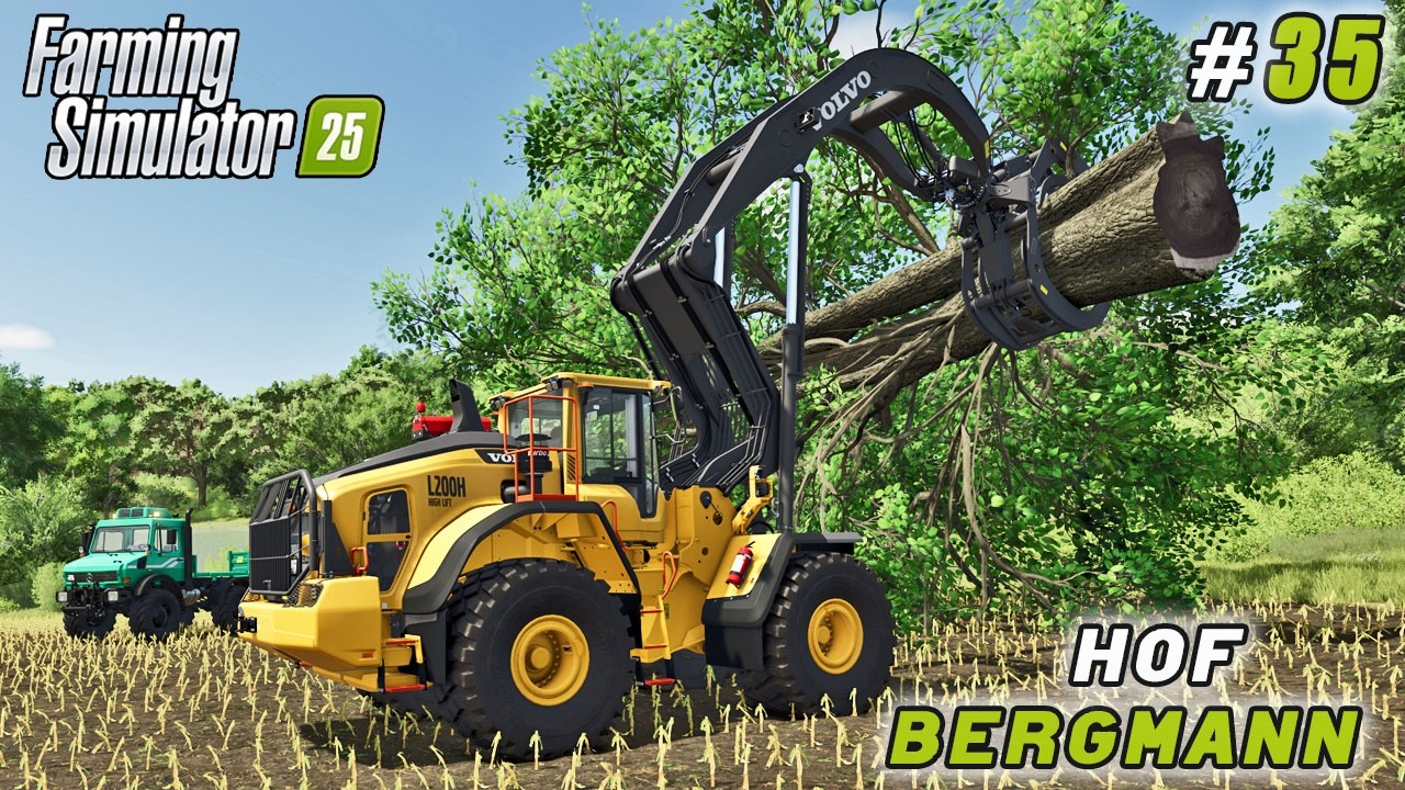 Расчистил лес, расширил поле, построил лесопилку | Farming Simulator 25 | Hof Bergmann |#35