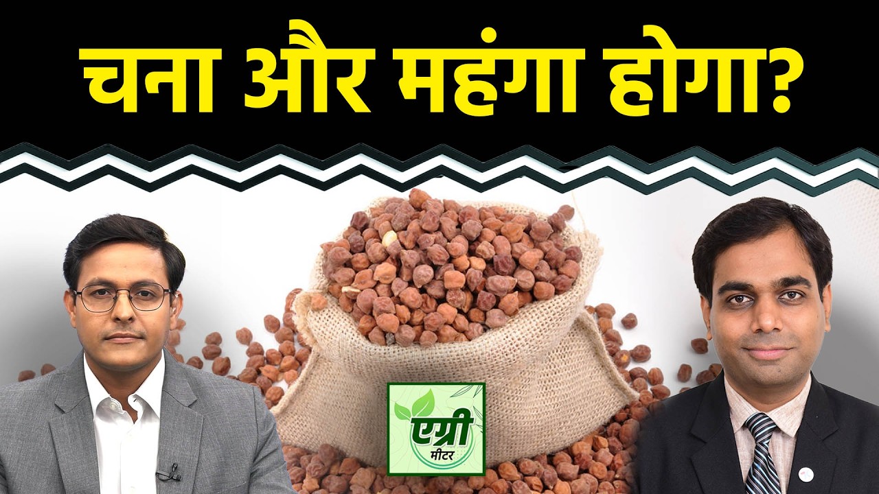 Agri Commodity : चना इंपोर्ट को लेकर क्या है ताजा आंकड़े? Commodity Market | NCDEX