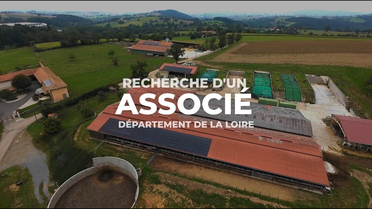 RDI / Recherche d'associé dans une exploitation laitière