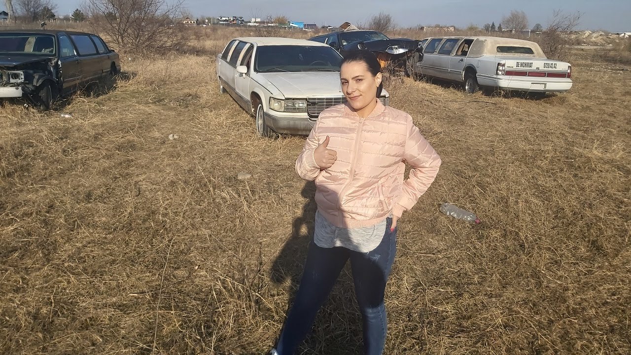 Limuzine abandonate pe camp