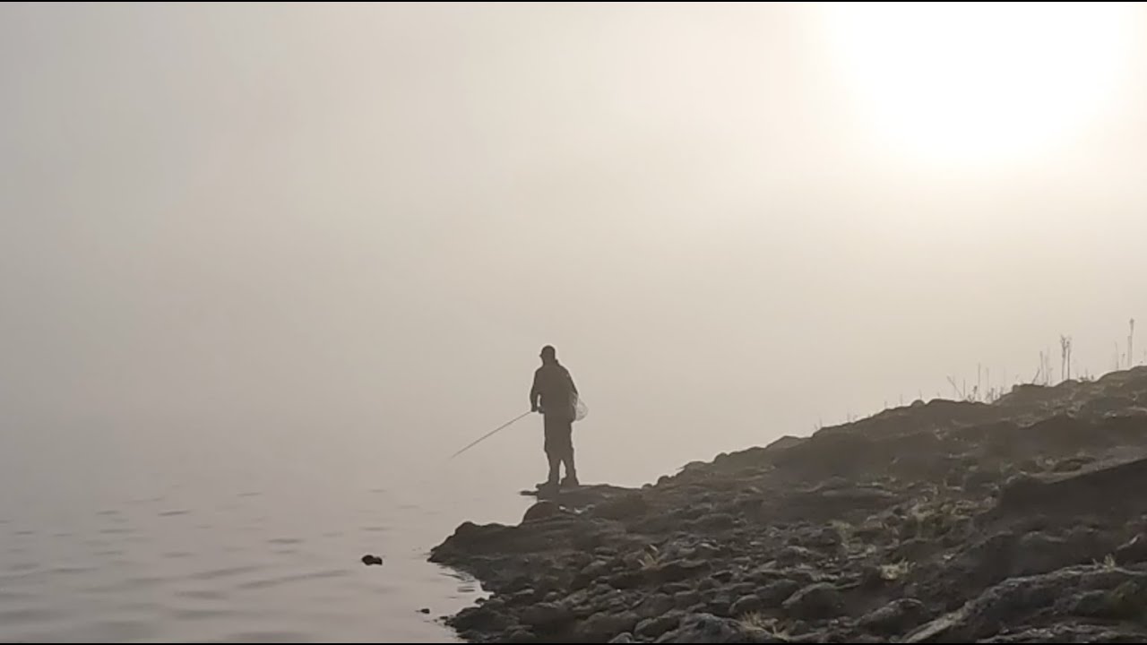 Bullen Merri - Chinook Salmon & Tiger Trout on Fly. #20