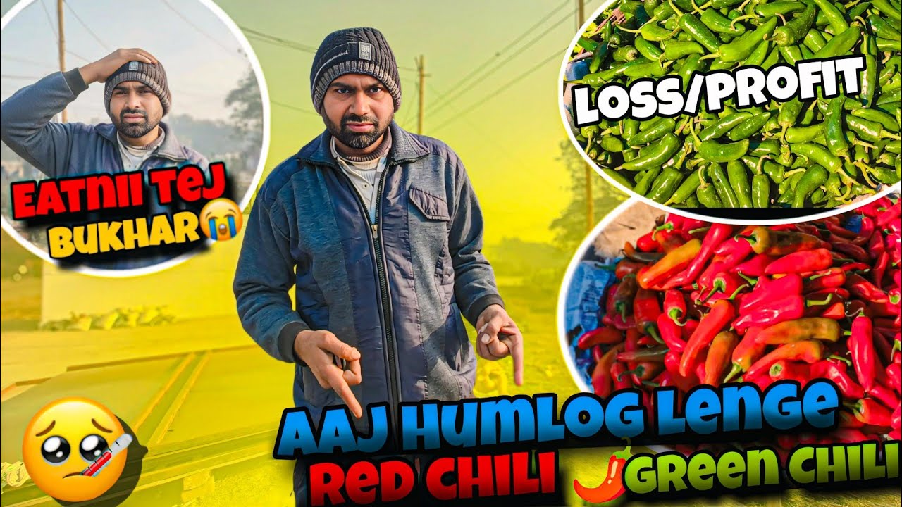 Aaj Humlog Lenge Red chili 🌶️ Or Green Chili🥵||Bahut Tabiyat Kharab Ho Gaya 😱||