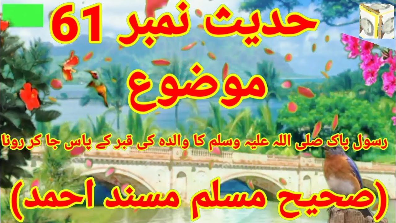 hadees and Islam, book of religion and hadith, shariyat and deen, how to make viral video 2022,