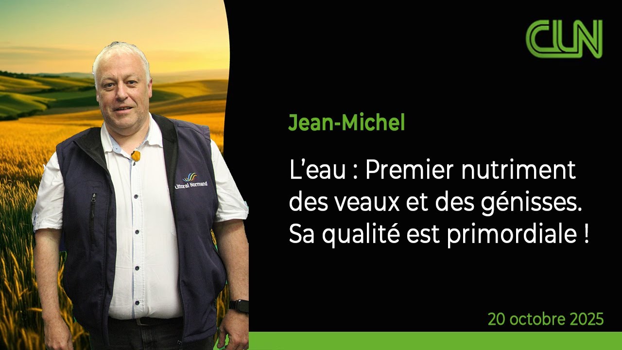 L’eau, le premier nutriment oublié des veaux et génisses ! J-M. CUMINET