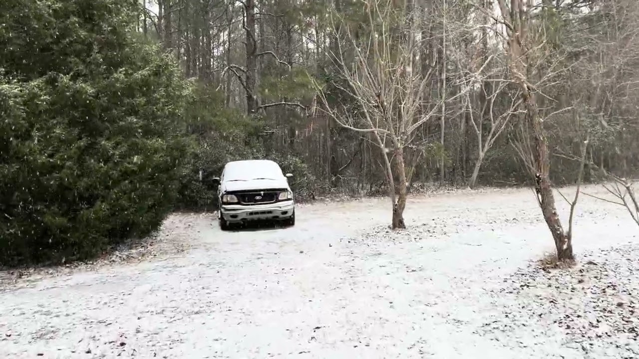 Snowing In Manning, SC 