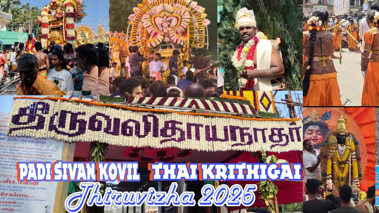 பாடி சிவன் கோவில் தை கிருத்திகை திருவிழா 2025 | Padi Sivan Kovil Krithigai Thiruvizha 2025