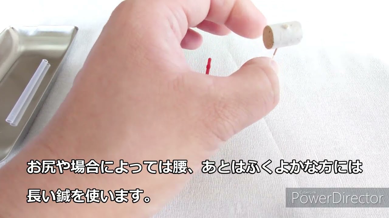 Japanese Acupuncture #2 – Warm Needle (Kyutoushin 灸頭鍼 / 鍼のご紹介)