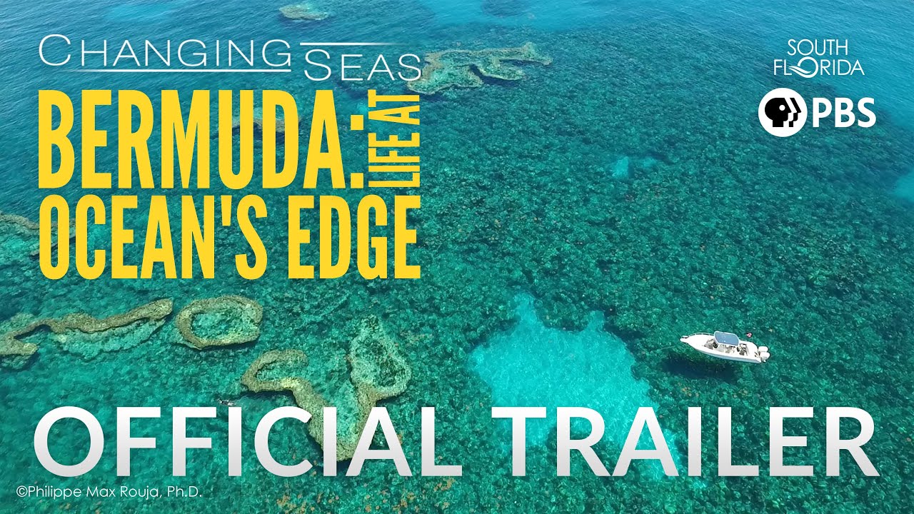 Bermuda: Life at Ocean's Edge - Official Trailer