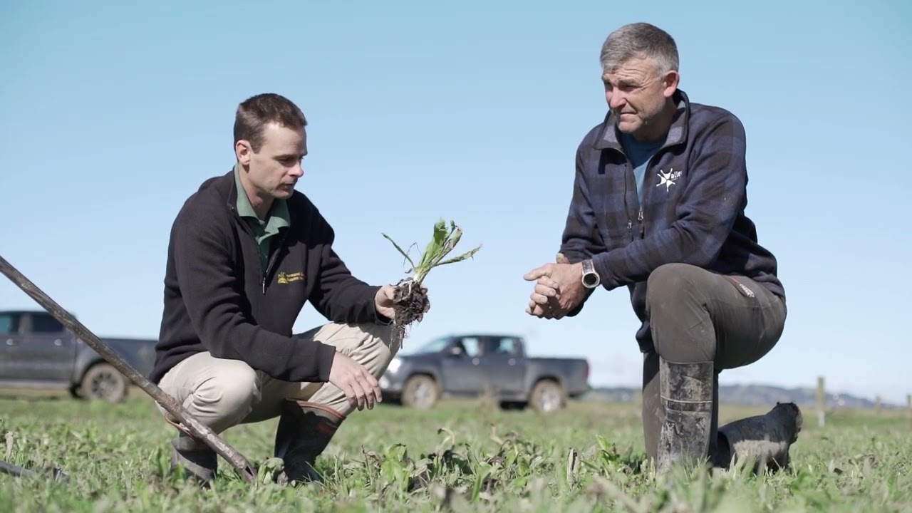 Ballance Farm Environment Award Northland Winners 2022