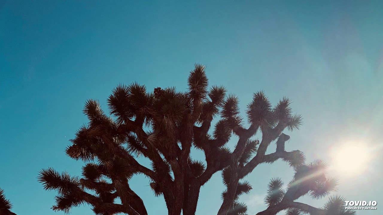 Guided meditative practice ~ Connection to Health and greater Freedom