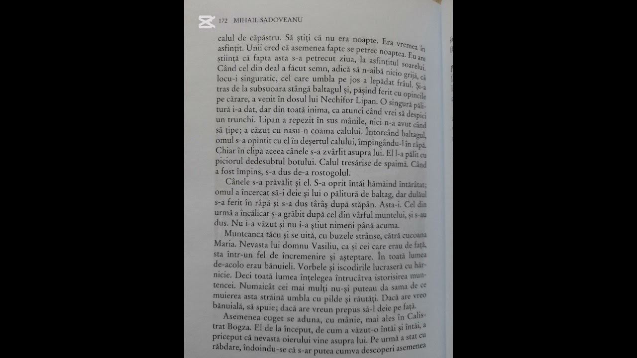 Baltagul, cap16 ( ultimul din roman), prima parte: reconstituirea crimei