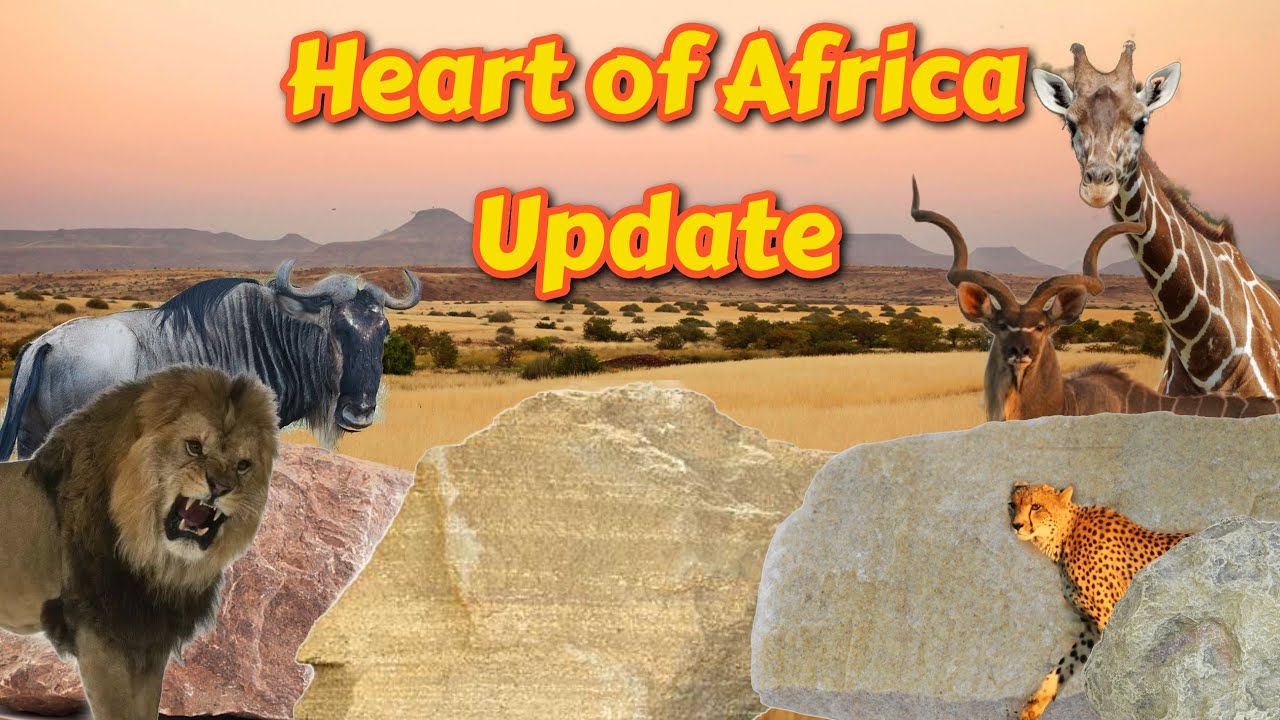 Safari Shorts: Heart Of Africa Reopened