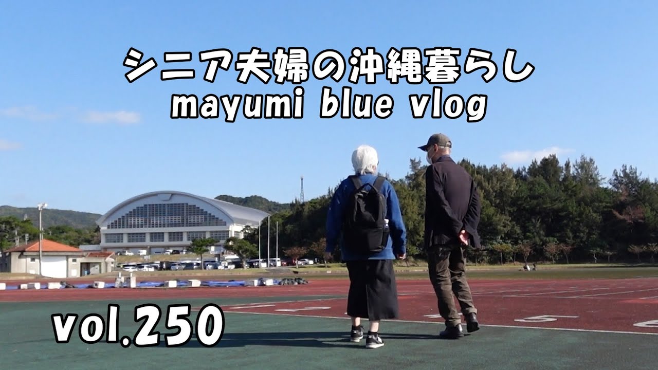 【沖縄暮らしvlog】夫婦で特定健診に行って来ました/恩納村産業まつり/仲泊海岸の海を散歩/ムーチーの日/おんなの駅で視聴者さんに会いました/ハムチーズ卵サンドで朝食