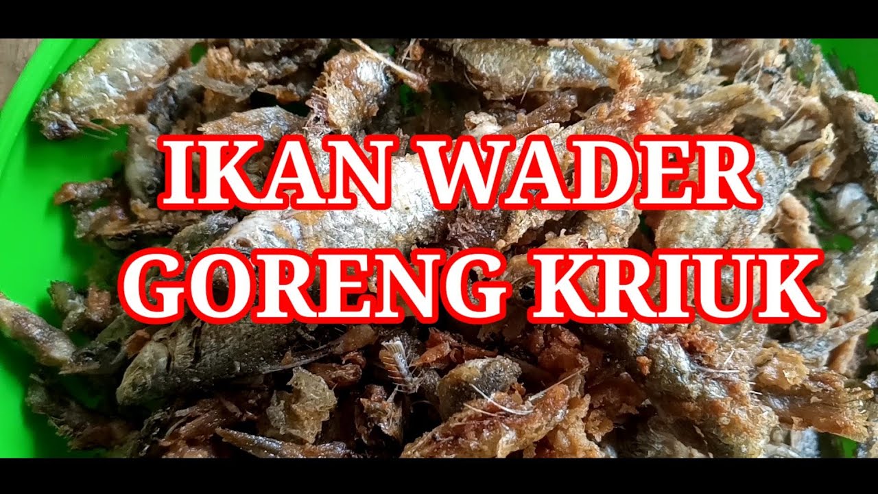 Ikan Wader Goreng Kriuk || Crispy Fried Wader Fish