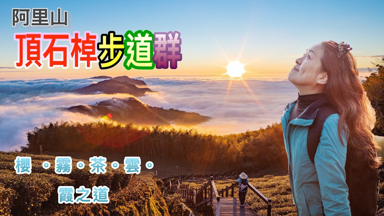 頂石棹步道群出現台灣最美的夕陽雲海｜櫻之道 霧之道 茶之道 雲之道 霞之道 五步道串聯走法