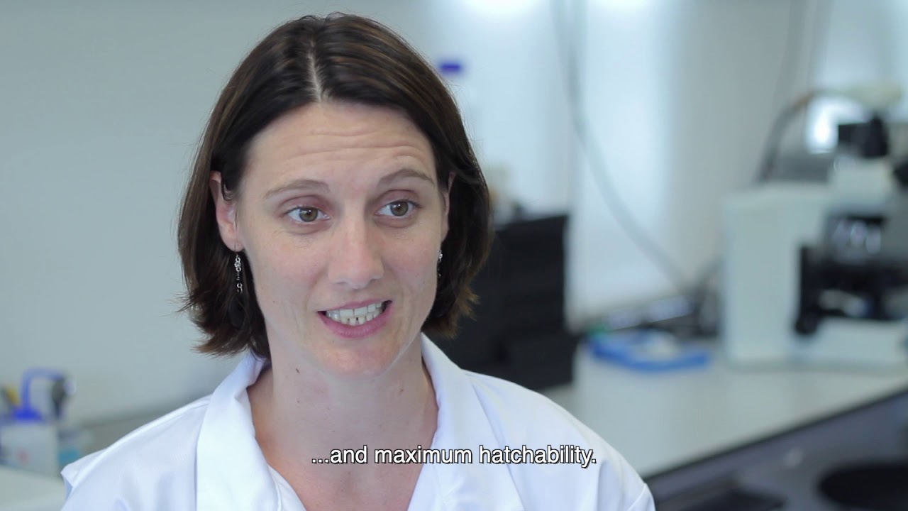 HatchTech Research: Knowledge is at the heart of all our solutions