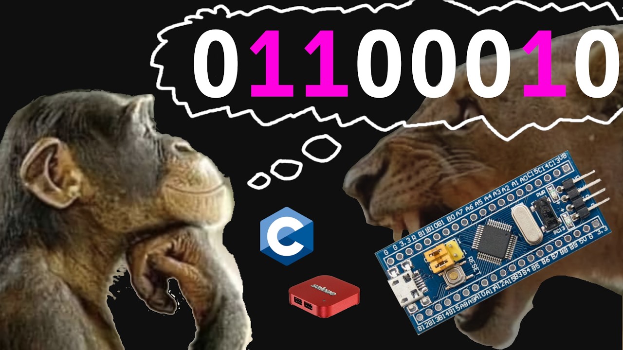 Why Firmware Engineers think in BITS