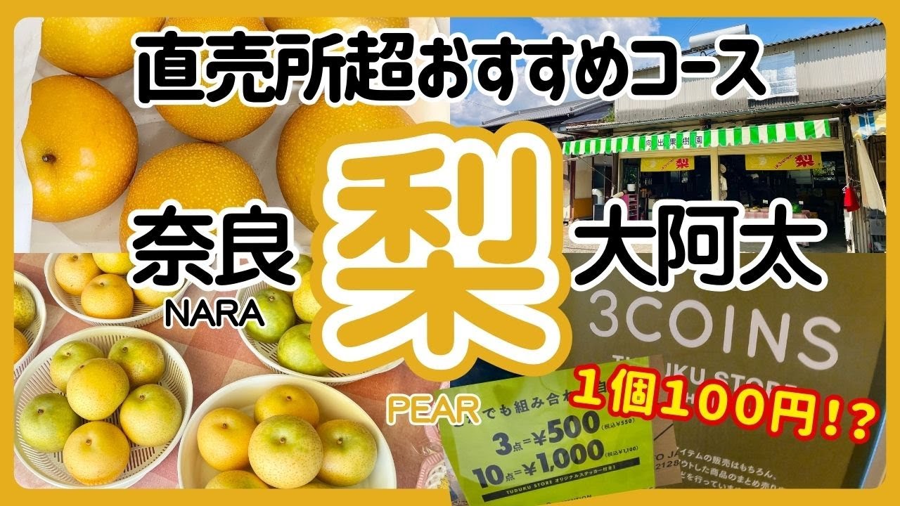 【直売所めぐり！】旬の「梨」を買いに大阿太高原に行ってきた【奈良県 吉野郡 大淀町 梨子本果樹園 向出農園 KITO  3COINS スリコ】