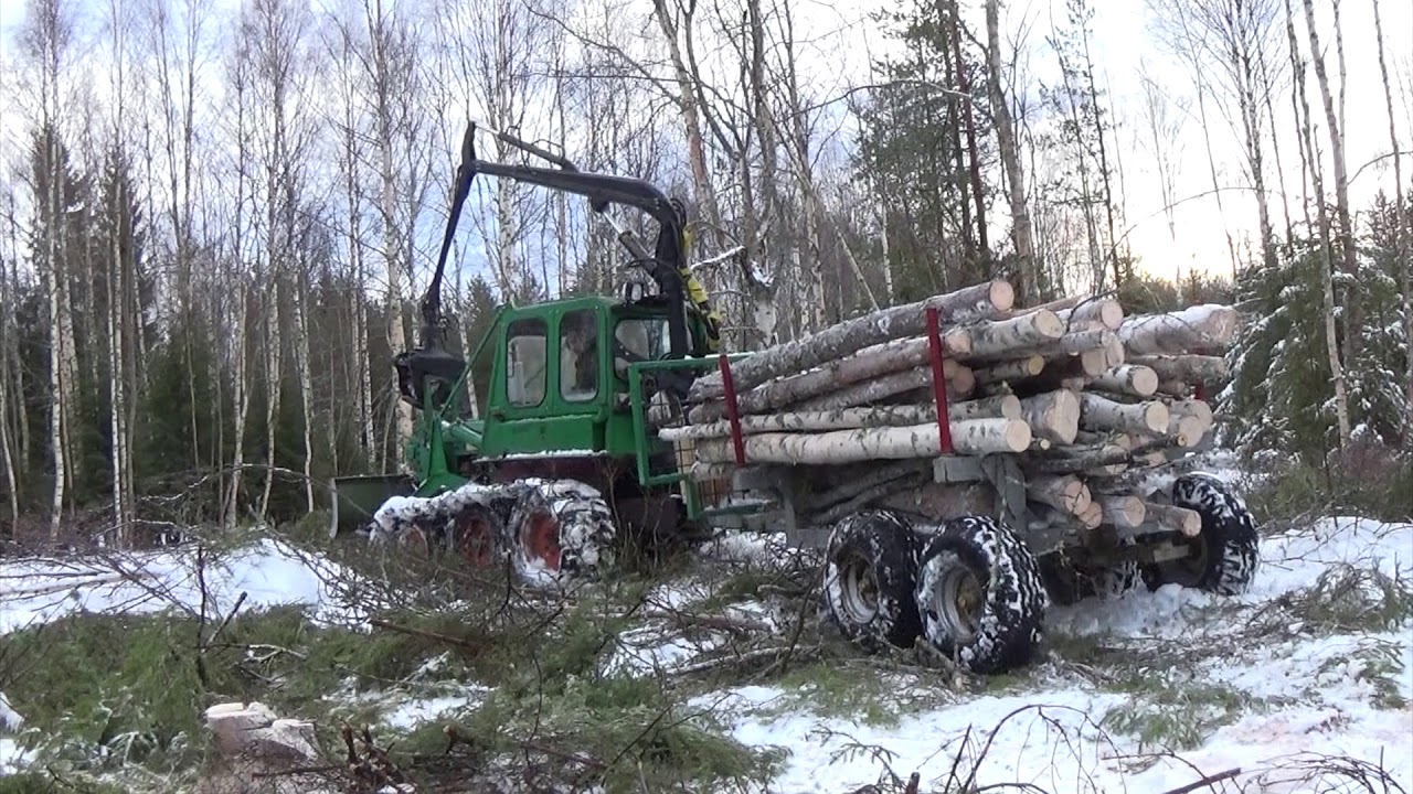 Bamse i lite snö