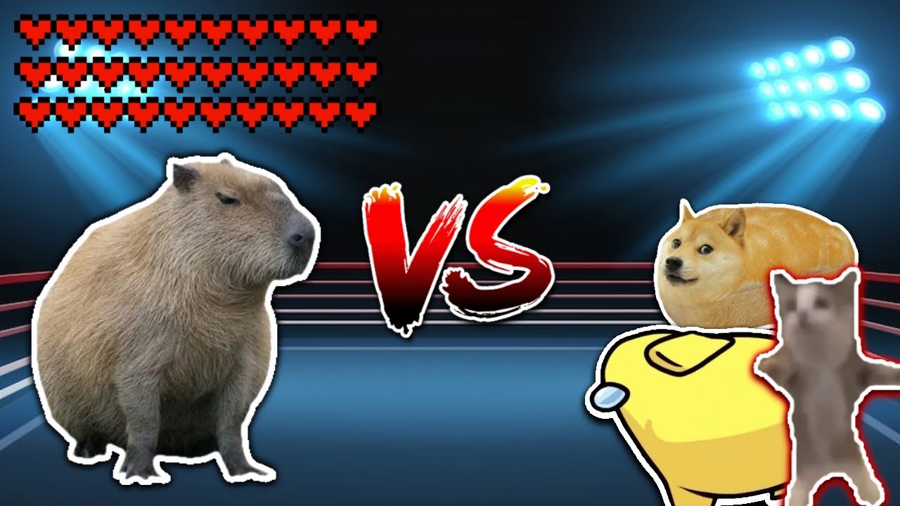 Capybara vs Shnappy cat team! Meme battle