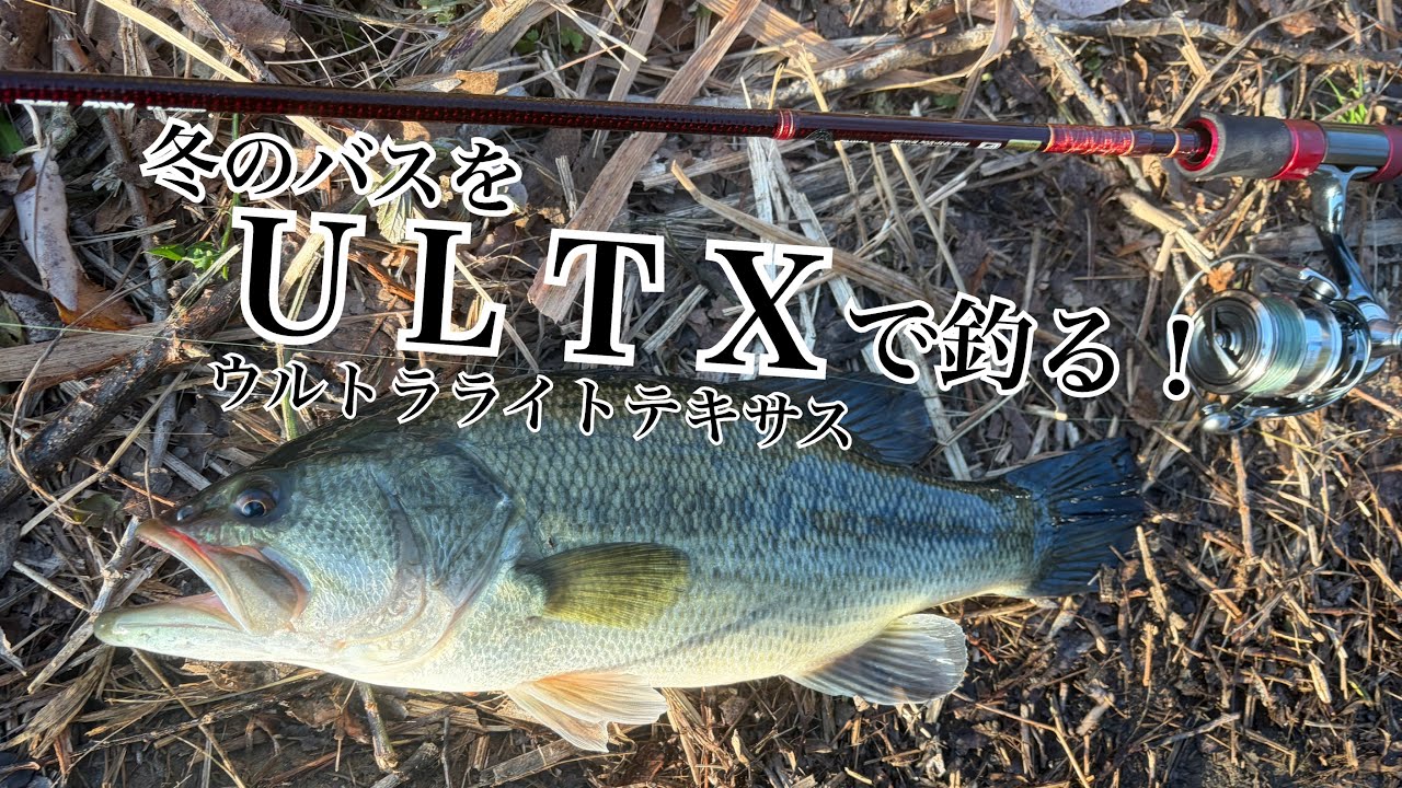冬の紀ノ川バスはゆっくり丁寧に