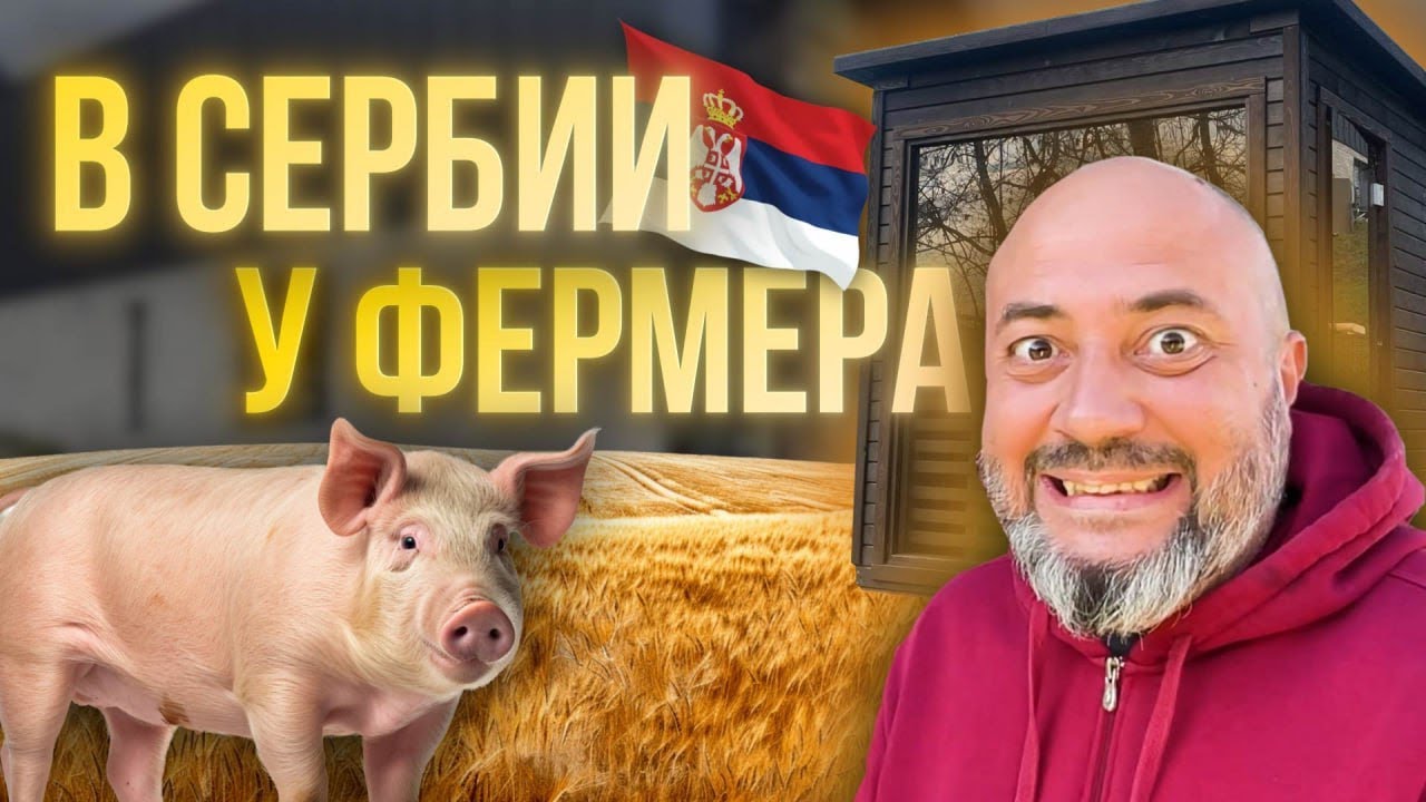 К ТАКОМУ ГОРОДСКАЯ ЖИЗНЬ НАС НЕ ГОТОВИЛА. Жизнь в сербской деревне
