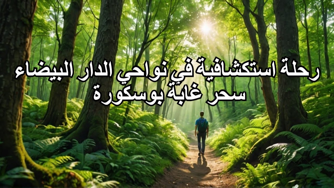 رحلة استكشافية في نواحي الدار البيضاء: سحر غابة بوسكورة #اكسبلور #travel