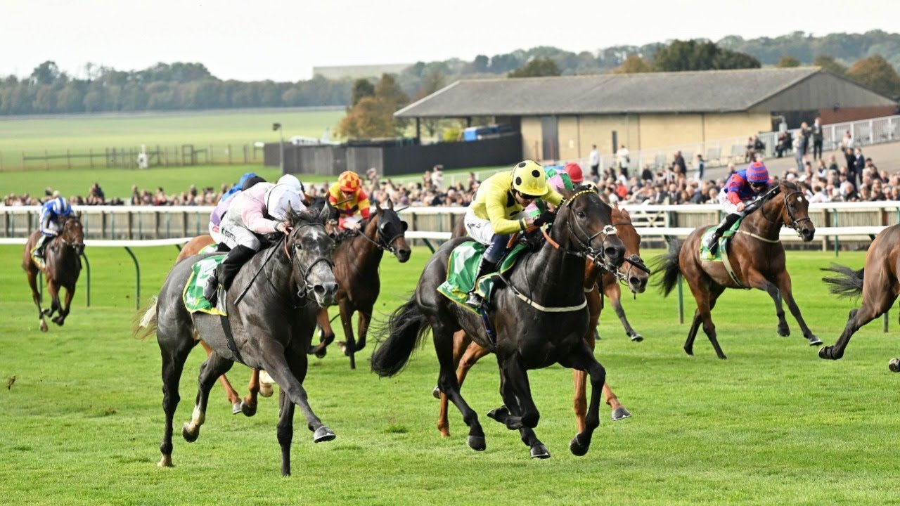BOILING POINT simmers in Cambridgeshire