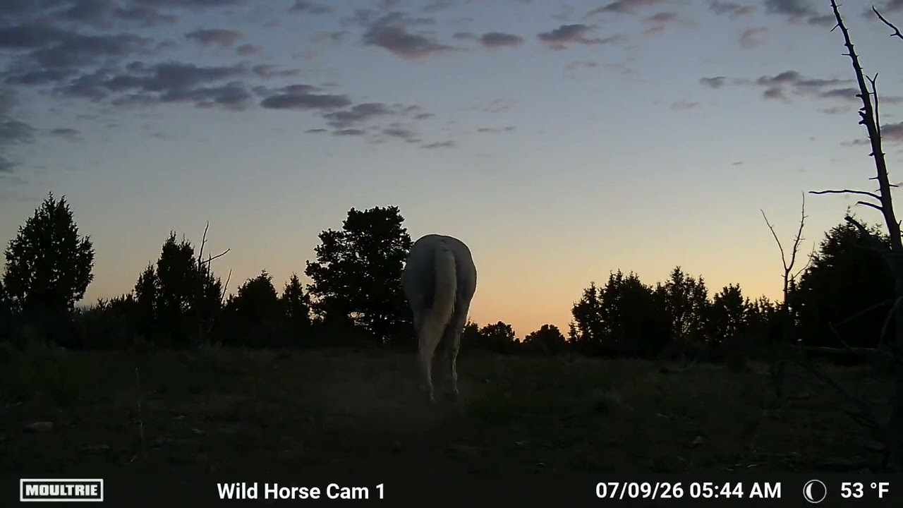 Hercules&rsquo; Early Morning Trek to Water 