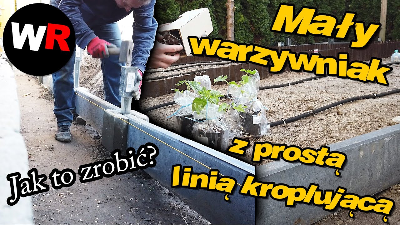 Moja koncepcja na mały warzywniak  oraz prosta linia kroplująca warzywa i sadzonki - #vlog69