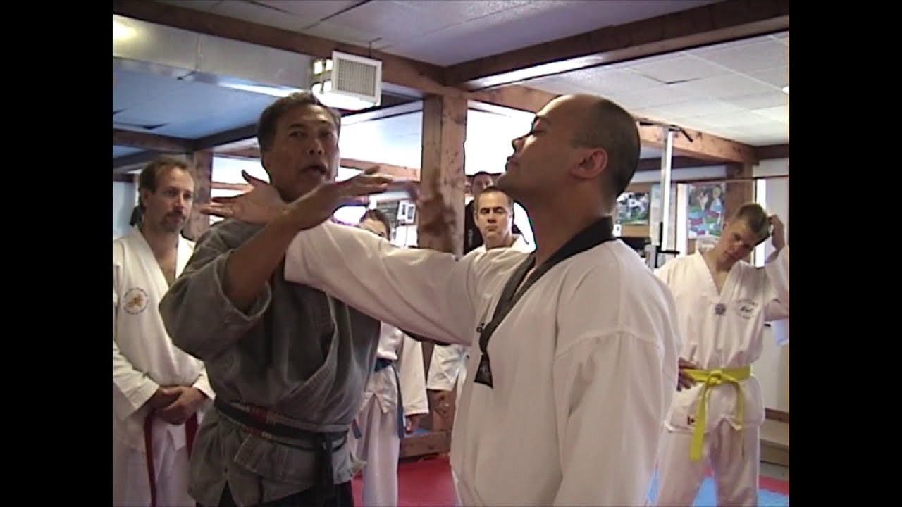 Great Teachers Inspires not just demonstrates and explains! - Sifu Al Dacascos