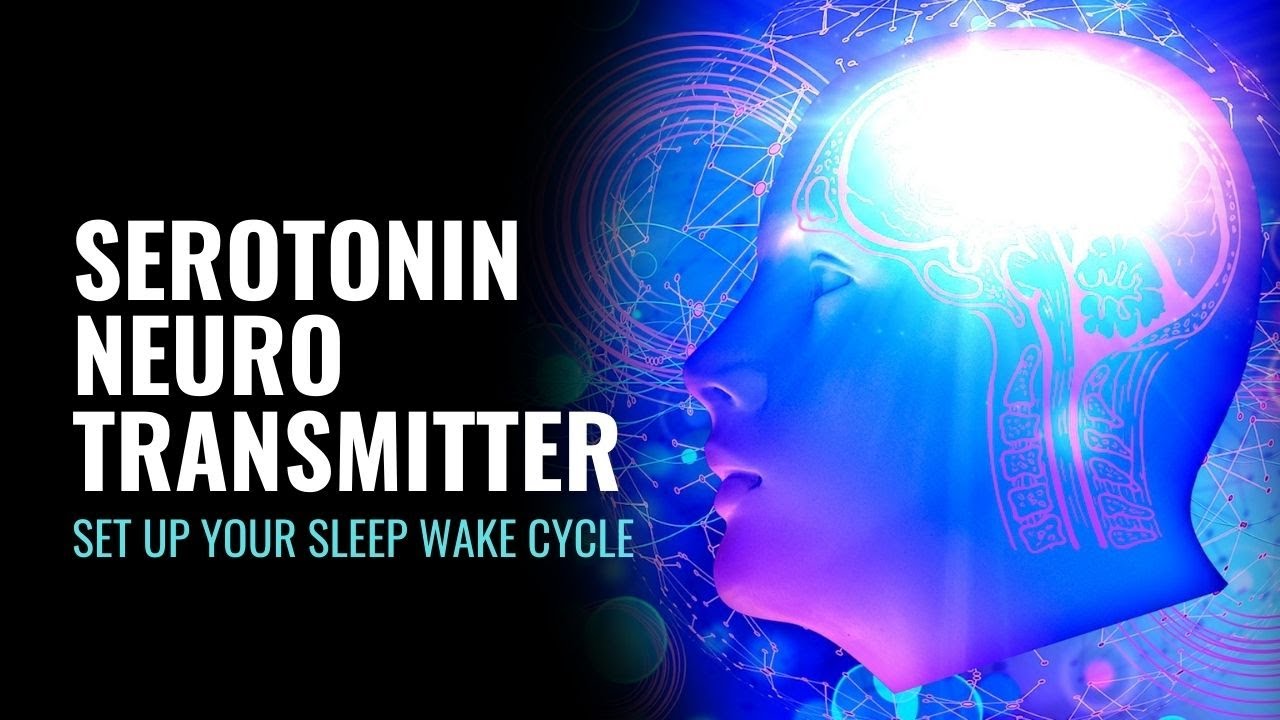 Serotonin Neurotransmitter | Improve Your Circadian Rhythm | Set Up Your Sleep Wake Cycle | 528 Hz