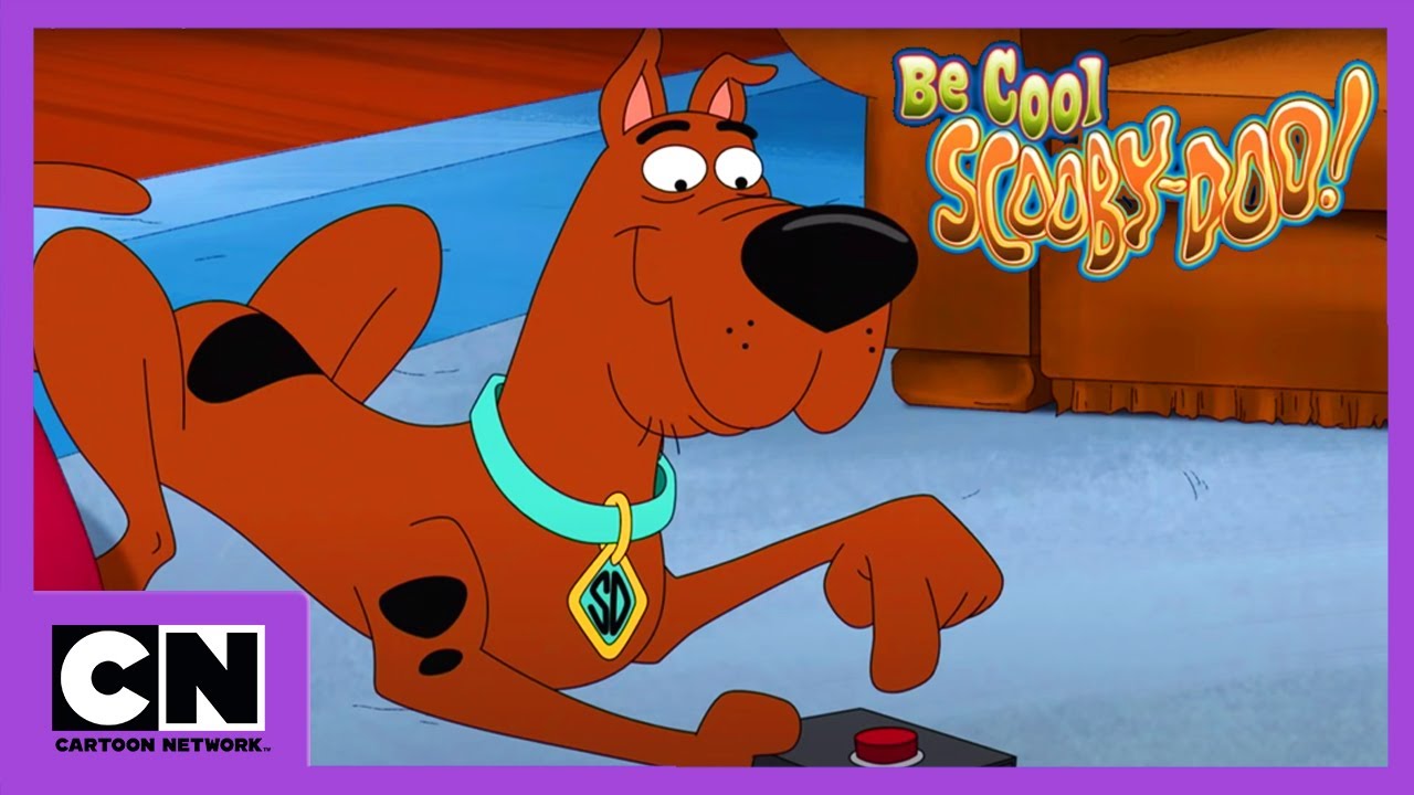 Fii calm, Scooby Doo | Vedete de cinema | Cartoon Network