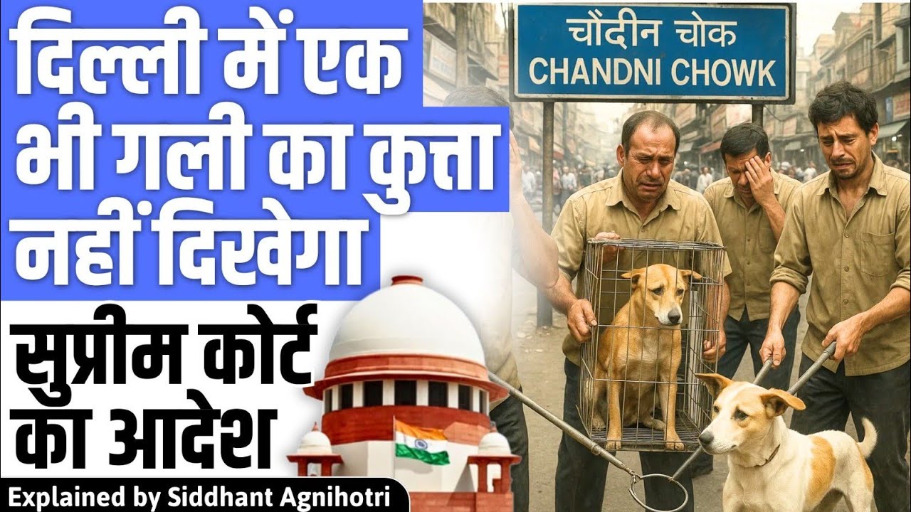 There will be no street dog in Delhi : Supreme court Orders